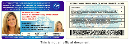 International Drivers License Card 