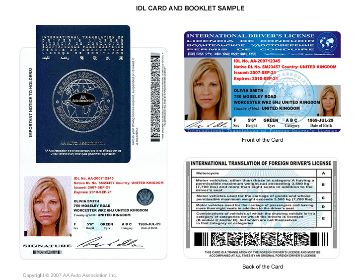 international drivers license | saston